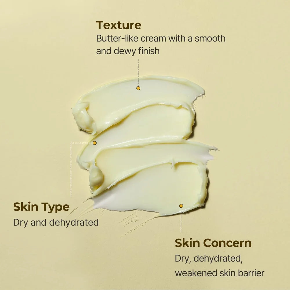 Torriden SOLID-IN Cream 70ml | 5D Ceramide Barrier Moisturizer