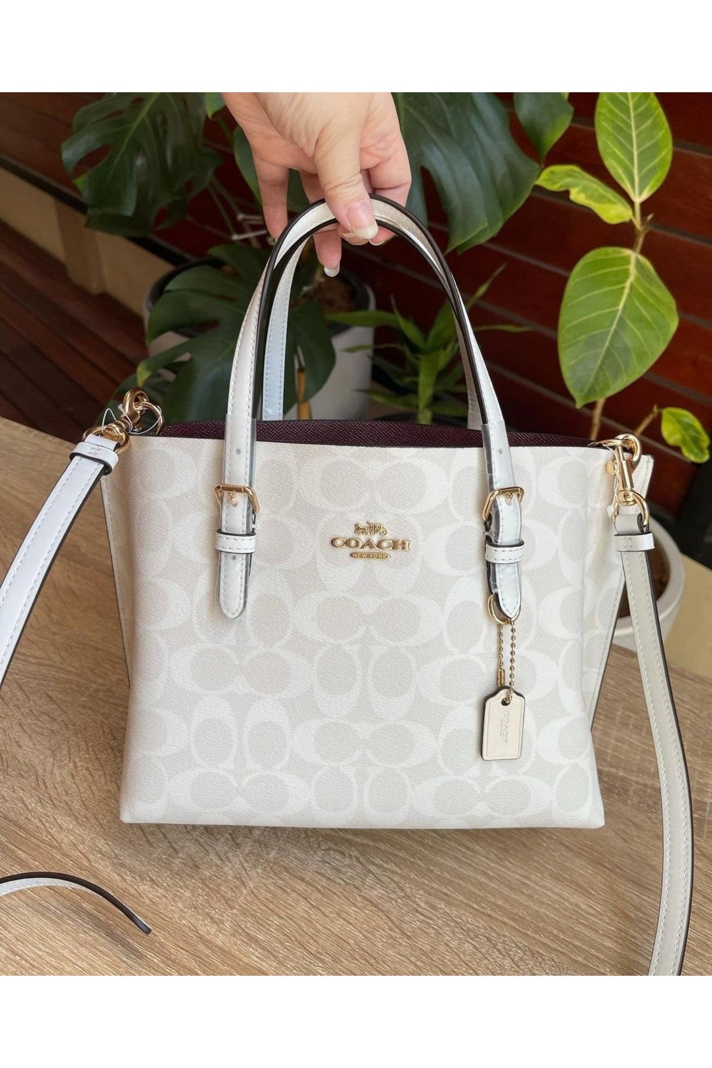 Buy Coach Mollie Tote Large Bag - Signature White Canvas in Pakistan
