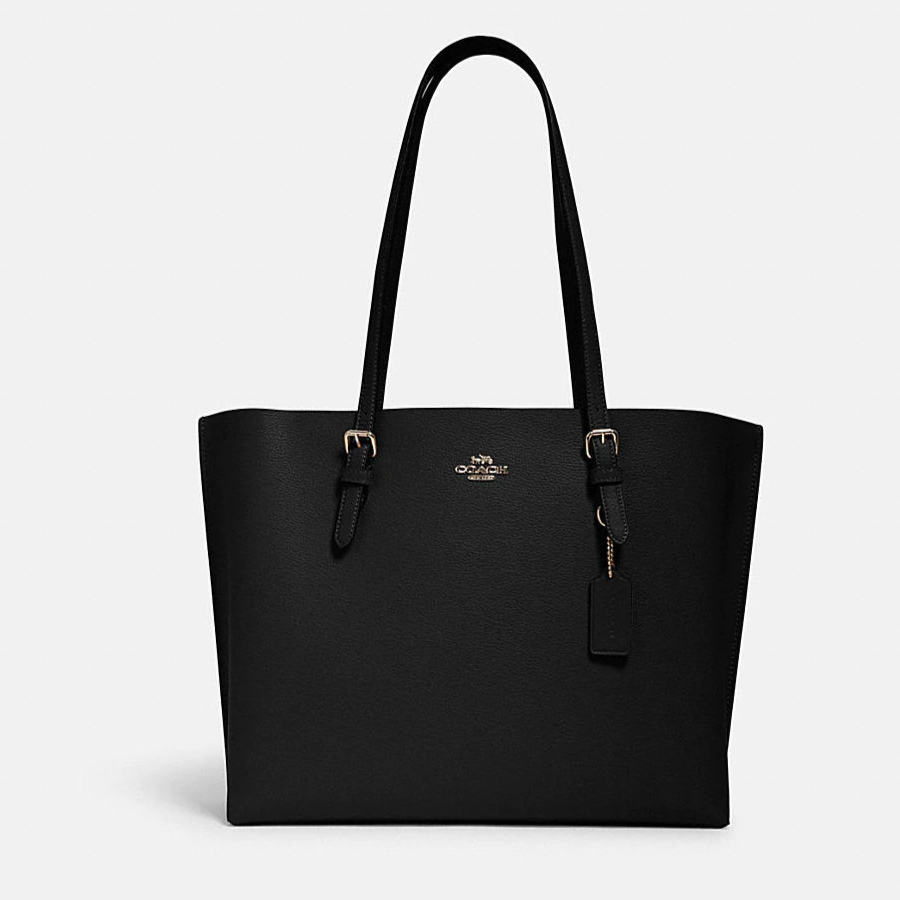 Buy Coach Mollie Tote in Sunset Small Bag in Pakistan