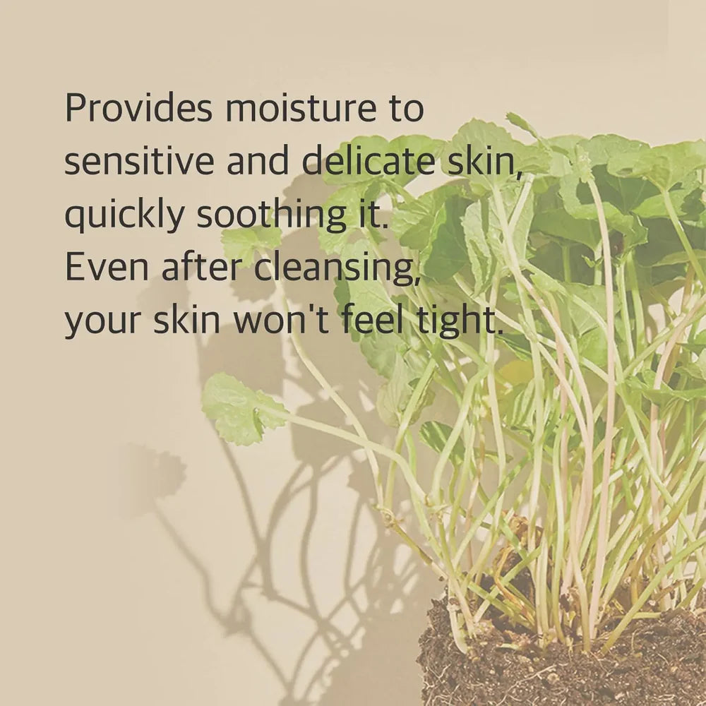 Mixsoon Centella Cleansing Foam – 150ml | Soothing, Hydrating & Deep Pore Facial Cleanser