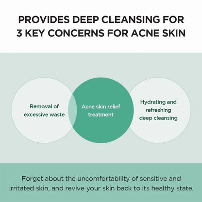 SKIN1004 Madagascar Centella Tea-Trica BHA Foam – 125ml
