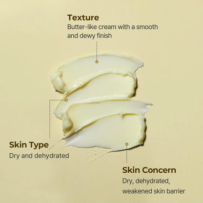 Torriden SOLID-IN Cream 70ml | 5D Ceramide Barrier Moisturizer