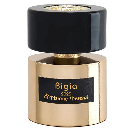 Buy Tiziana Terenzi Bigia Edp 100ml in Pakistan