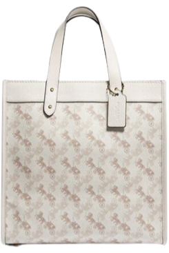 Buy Coach Horse and Carriage Tote 30 - White in Pakistan