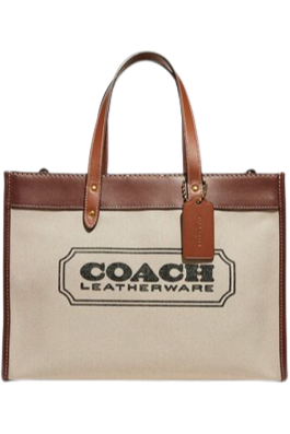 Buy Coach Field Tote 30 with Coach Badge - Dark Natural Multi in Pakistan