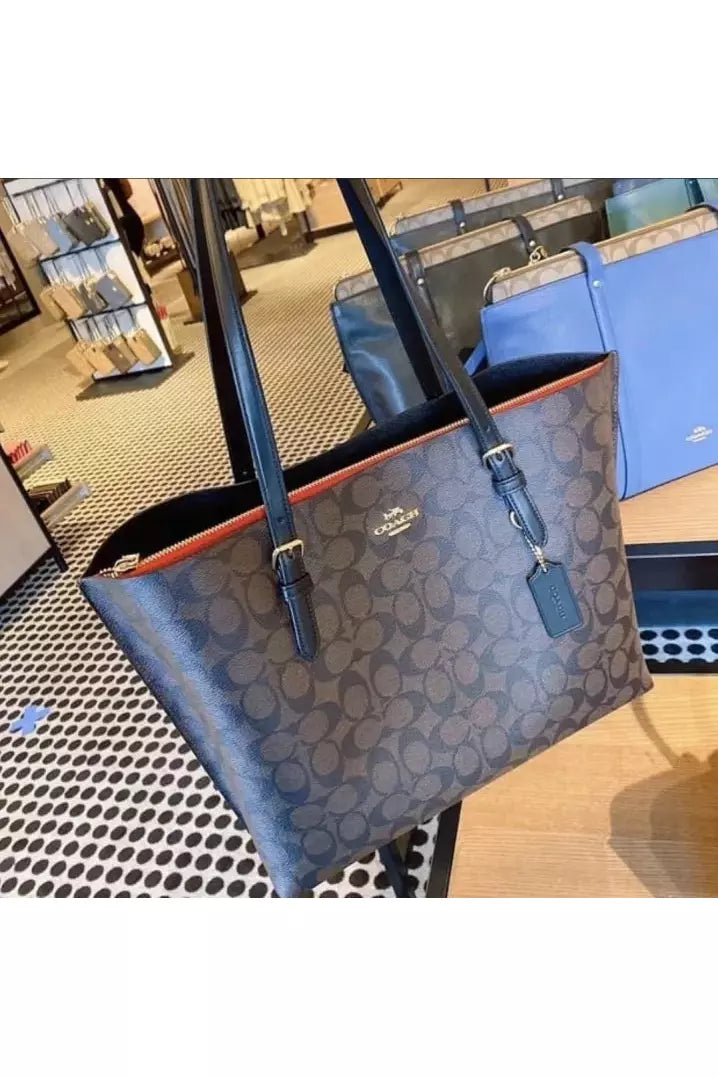 Buy Coach Mollie Tote Large - Signature Brown Canvas in Pakistan