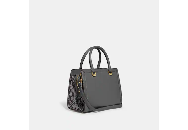 Buy Coach Grace Carryall Carriage Logo Satchel Bag Small - Vine in Pakistan