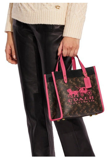 Buy Coach Horse and Carriage Tote 22 - Brown with Pink in Pakistan