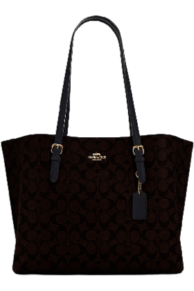 Buy Coach Mollie Tote Large - Signature Brown Canvas in Pakistan